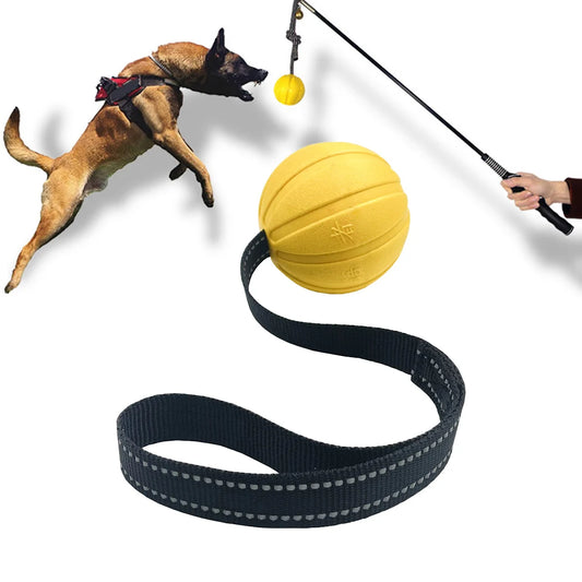 Durable Interactive Ball for Training Dogs