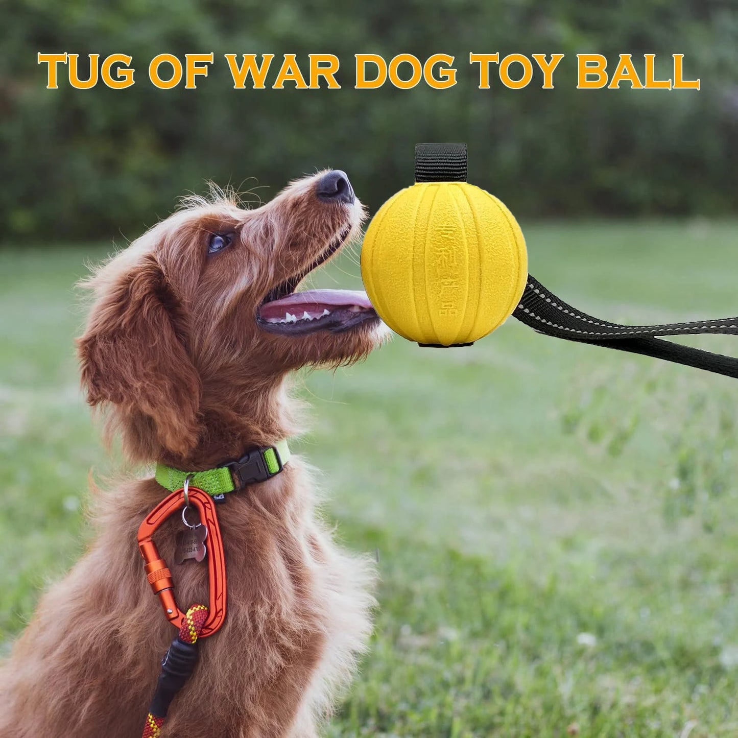 Durable Interactive Ball for Training Dogs
