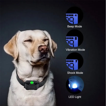 Remote Control Electric Collar For Dogs