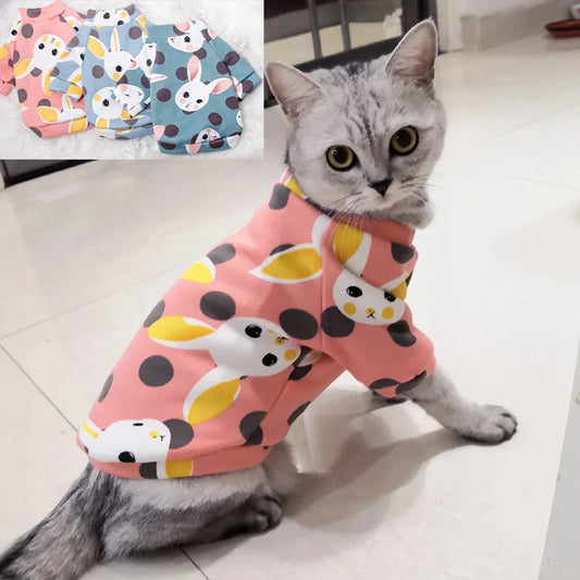 Sweet Pet Clothes for Cats