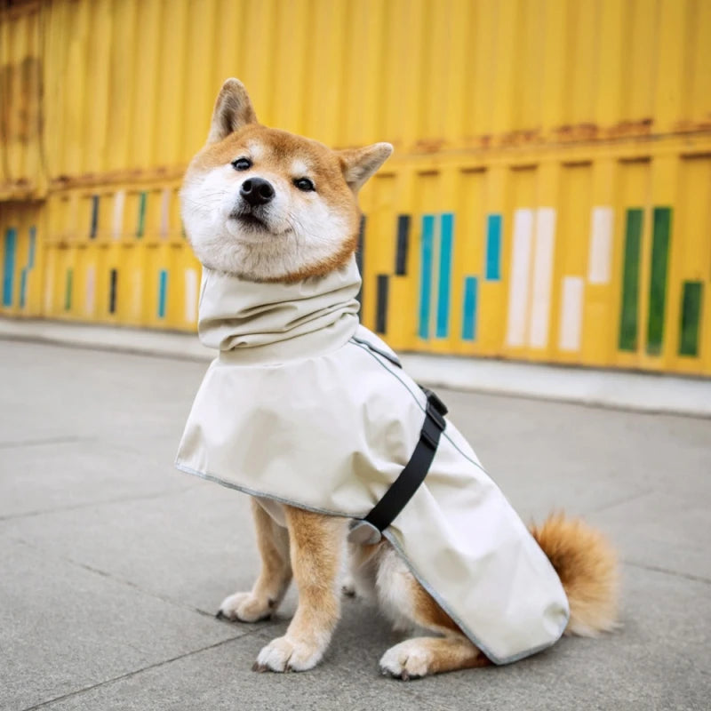 Dog  Outdoor Raincoat