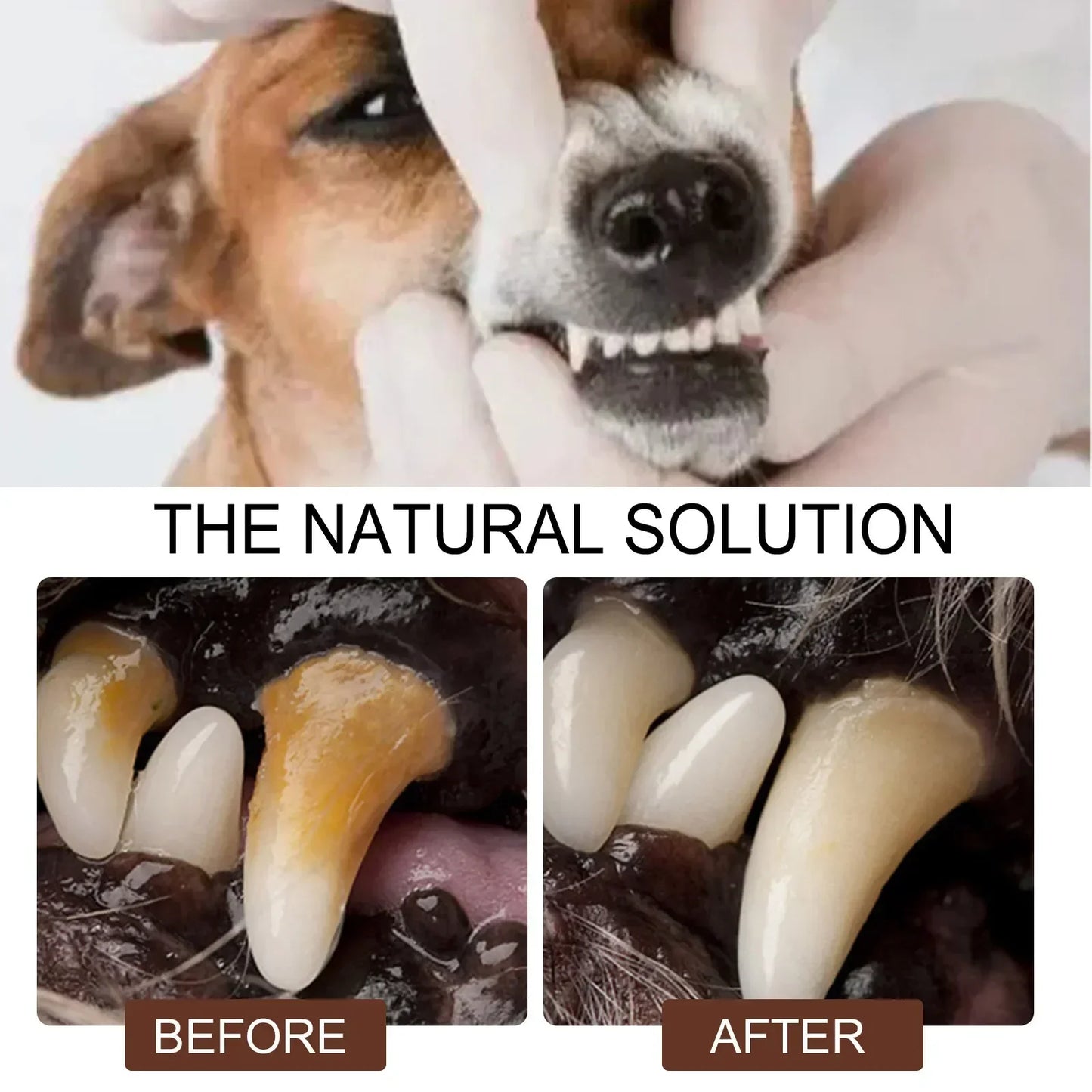 Dog Bad Breath Remover Tooth Cleaning Spray