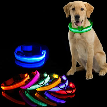 Anti-lost Collar For Dogs