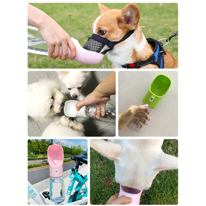 Pet Dog and Cat Water Bottle Feeder