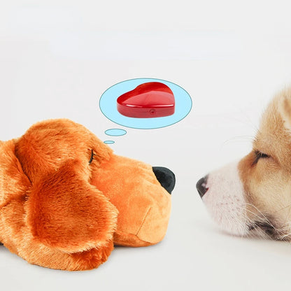 Anxiety Relief Sleep Aid For Dogs