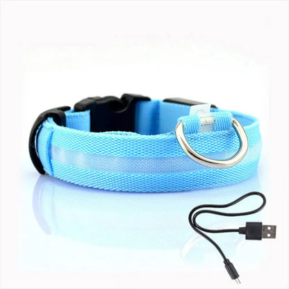 Anti-lost Collar For Dogs