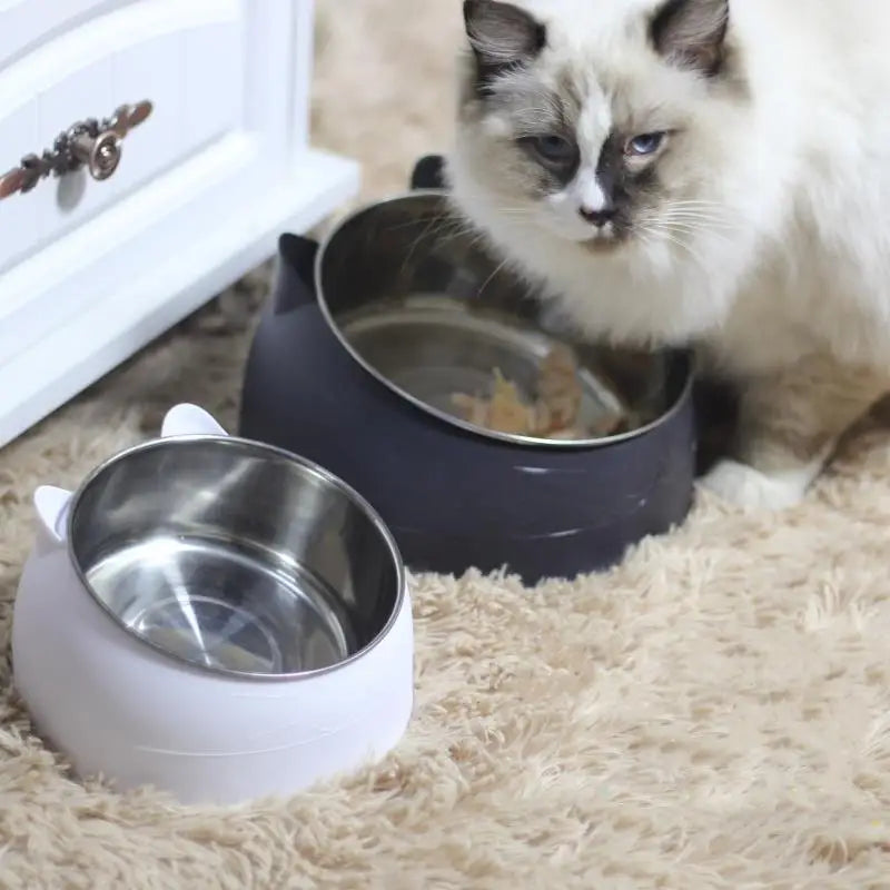 100ML Cat Food Drinking Bowl