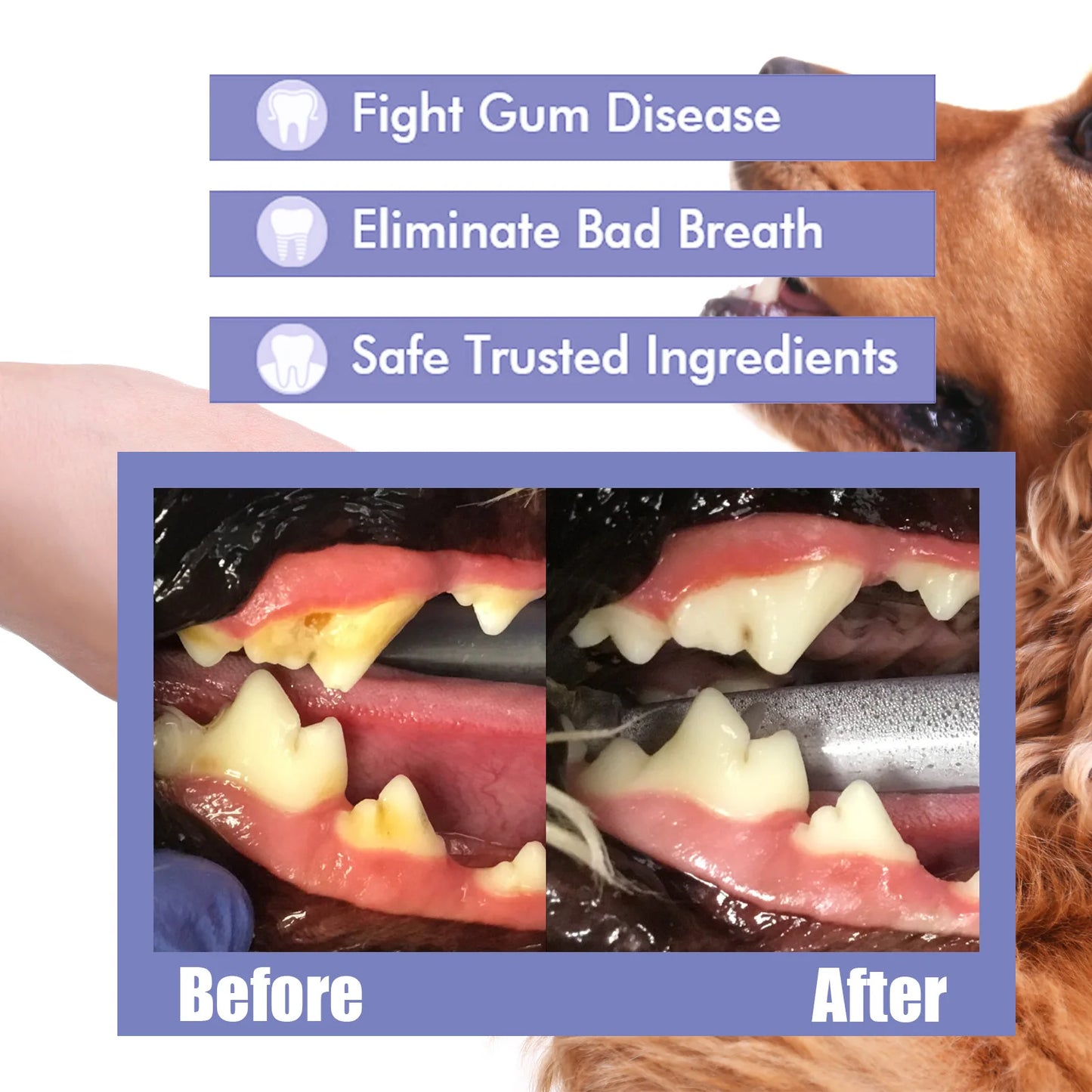 Pet Oral Care Tooth Whitening Spray