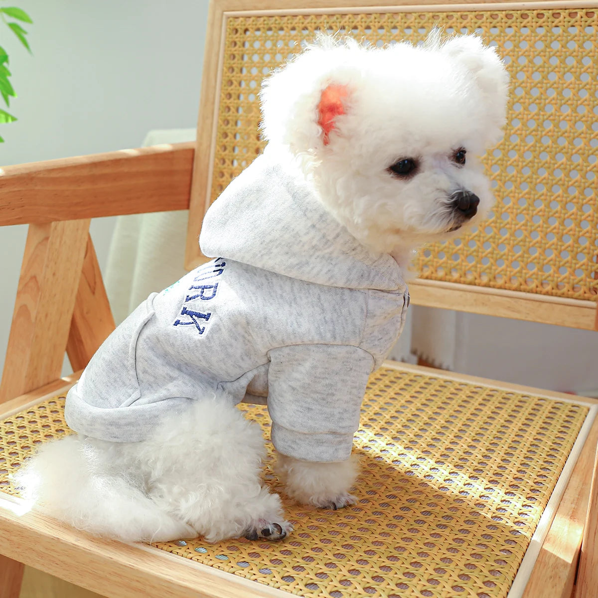 Casual Hooded Coat With Drawstring Buckle For Dogs