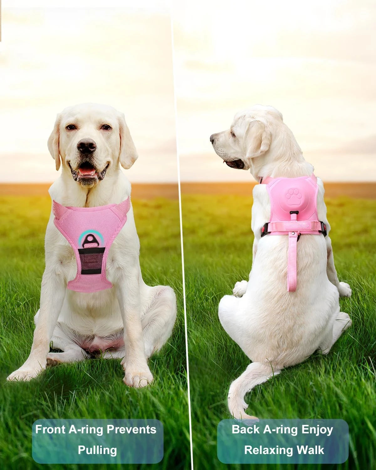 Built-in Retractable Dog Harness