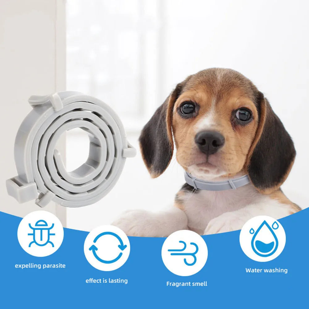 Veterinary Anti Flea and Tick Collar for Dogs