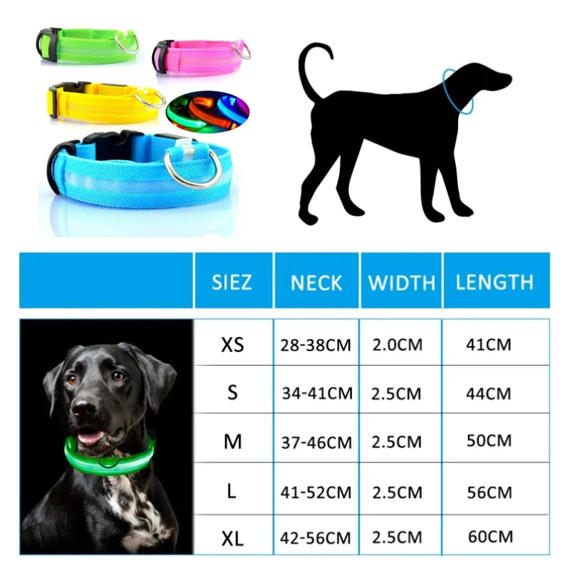 Anti-lost Collar For Dogs