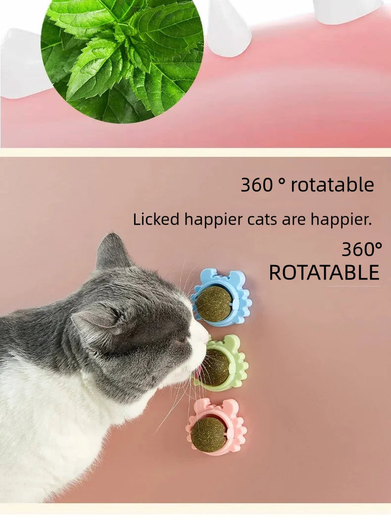 Natural Candy Snack Ball Rotatable Cat Molar Toothpaste