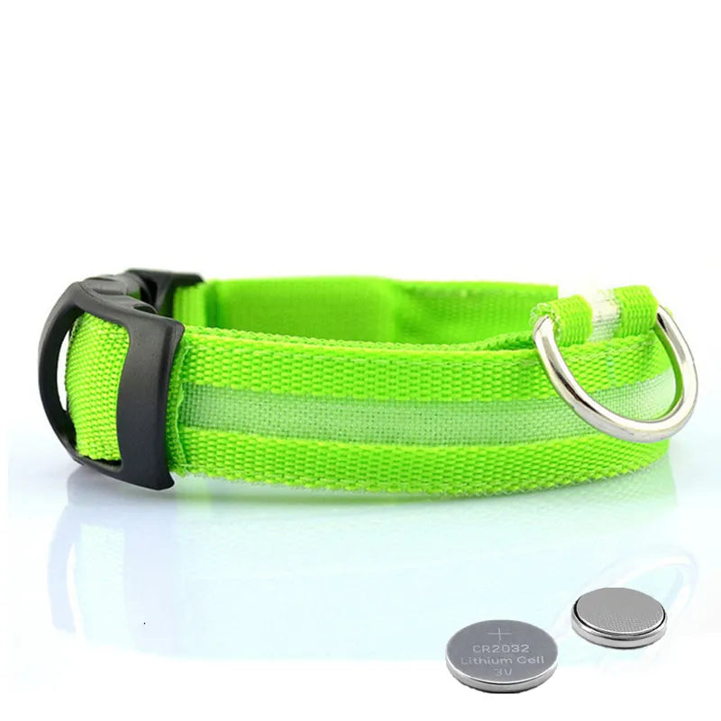 Anti-lost Collar For Dogs