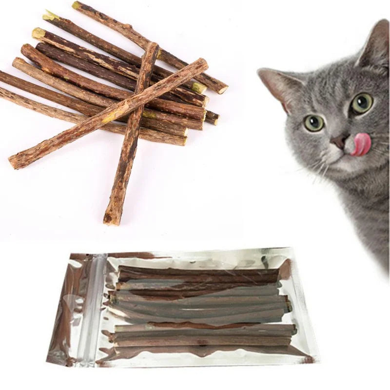 Natural Wood Polygonum Sticks Cat Teeth Cleaner