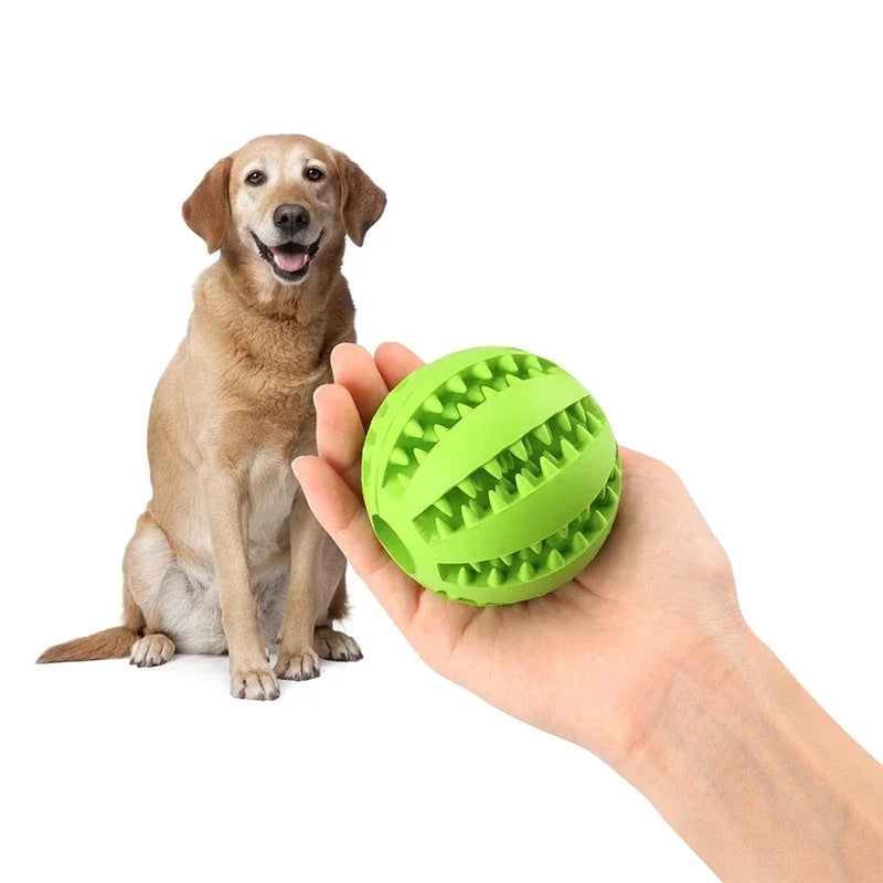 Puppy Chew Ball Toys