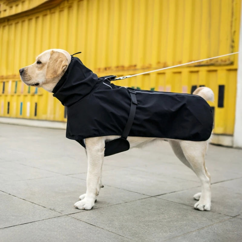 Dog  Outdoor Raincoat
