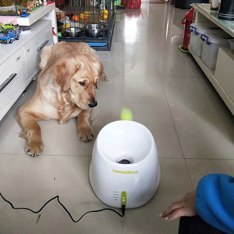 Automatic Throwing Machine Dog trainer