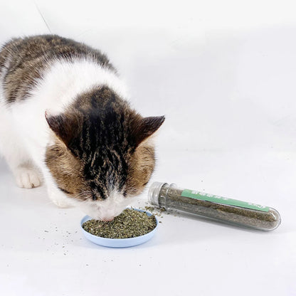 Dried Catnip for Cat Calming Scratch Pad