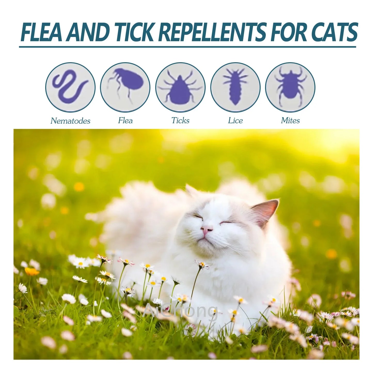 Cat Ticks, Fleas and Mites Health Cleaning Supplies