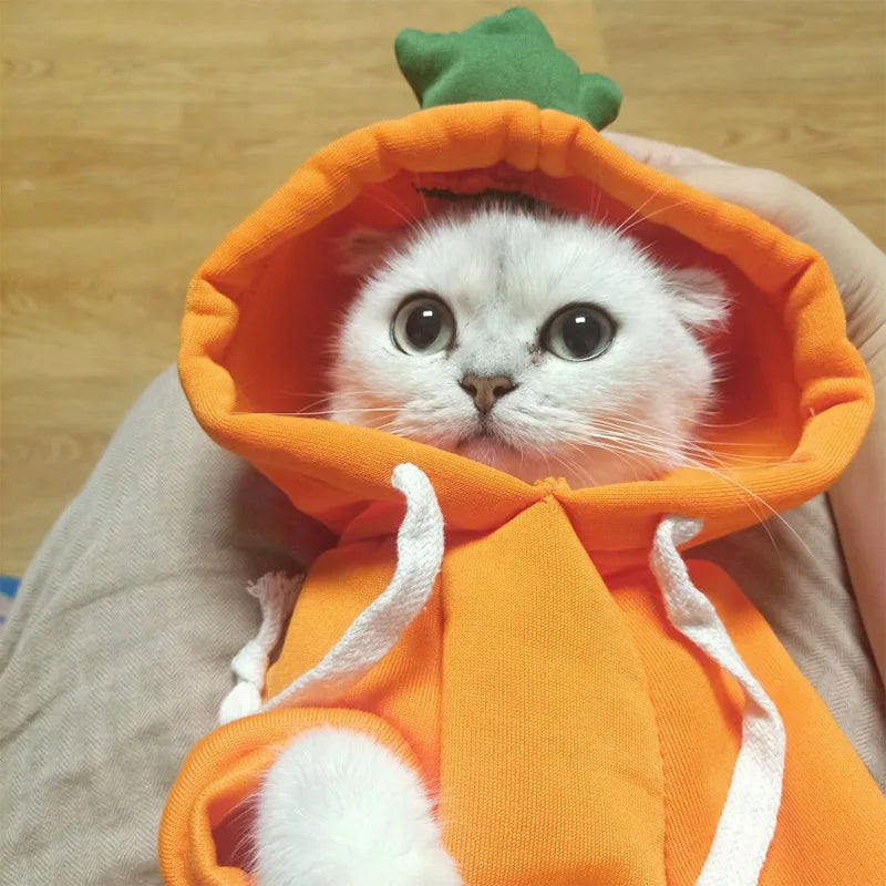 Cosplay Winter Warm Cat Clothes