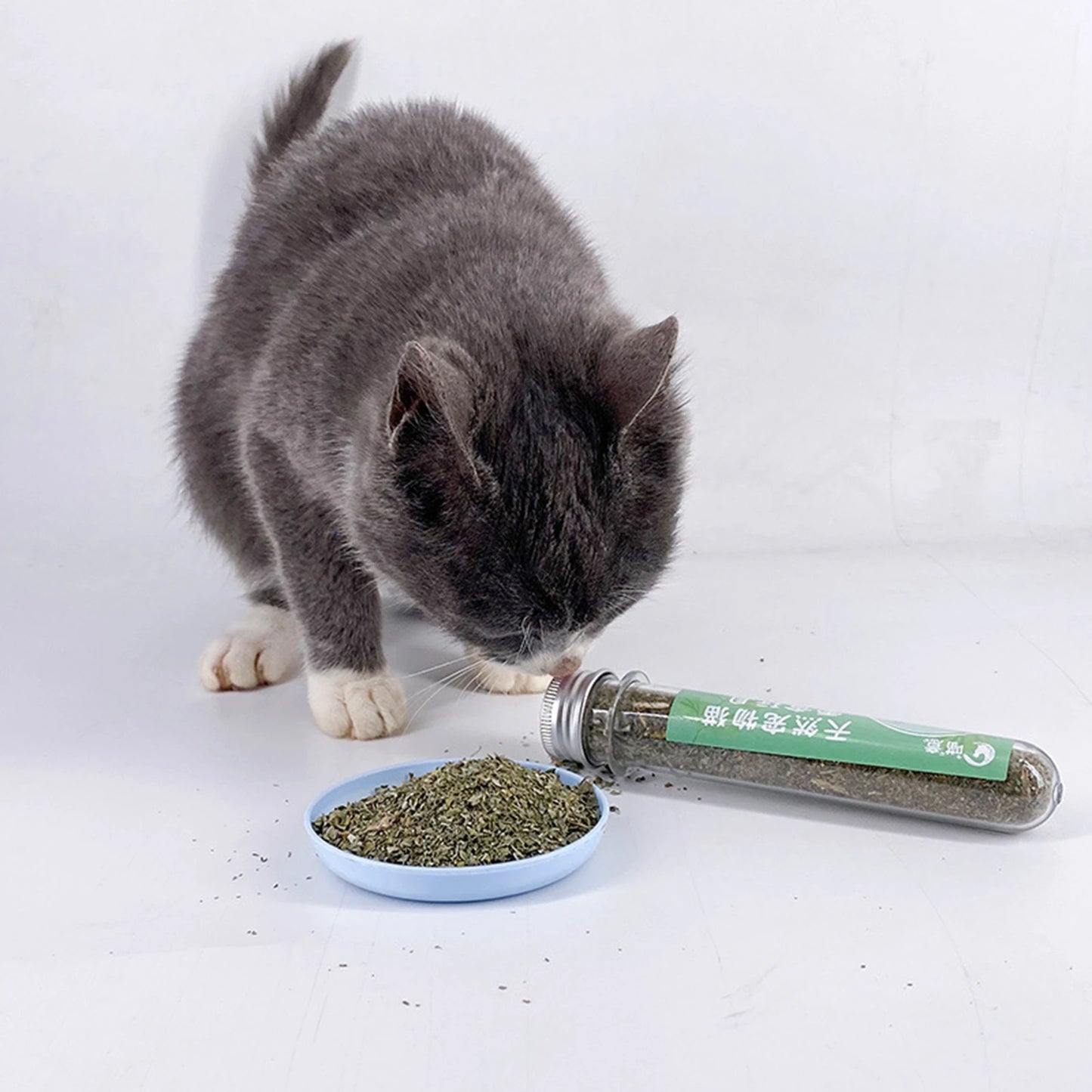 Dried Catnip for Cat Calming Scratch Pad
