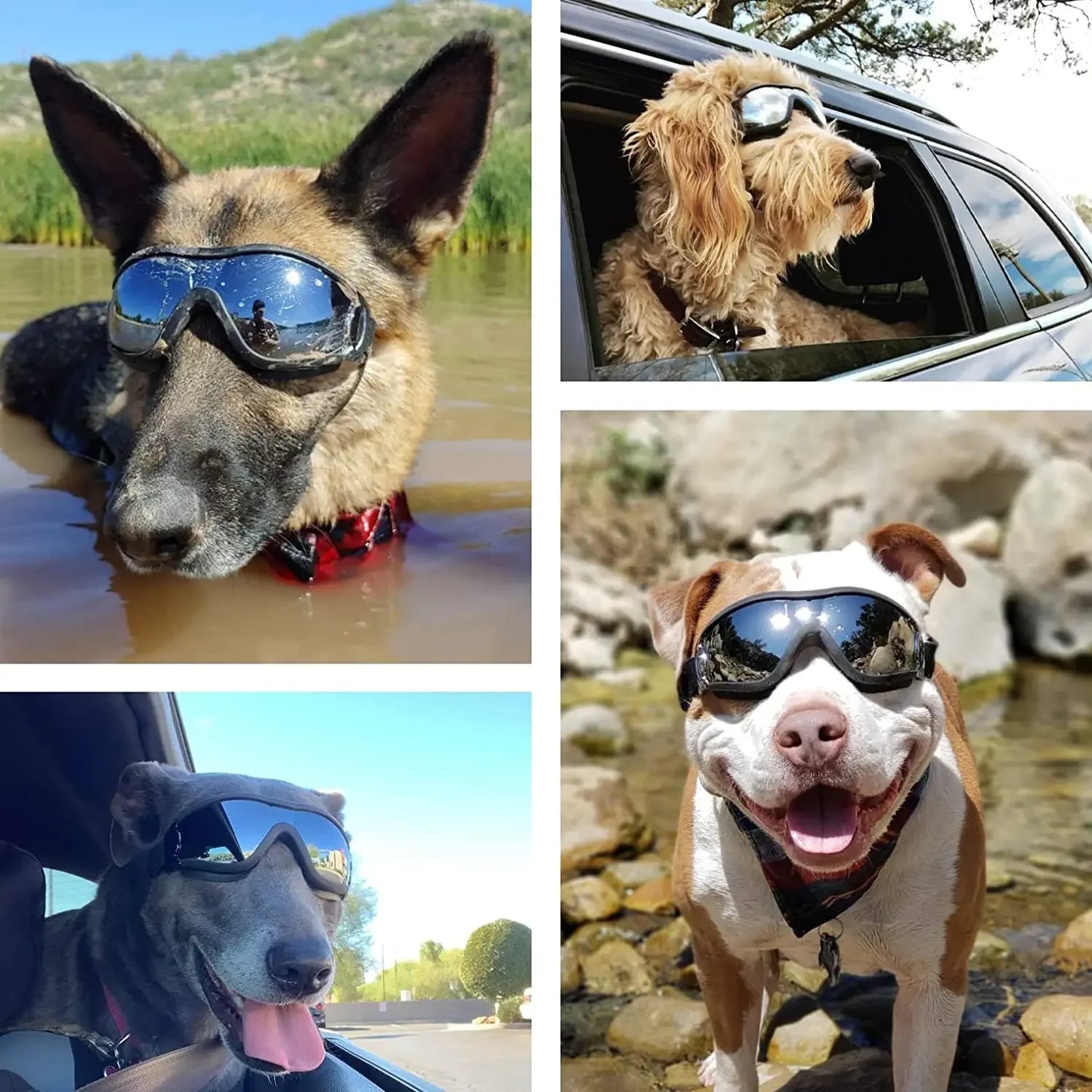 Dog Outdoor Sunglasses