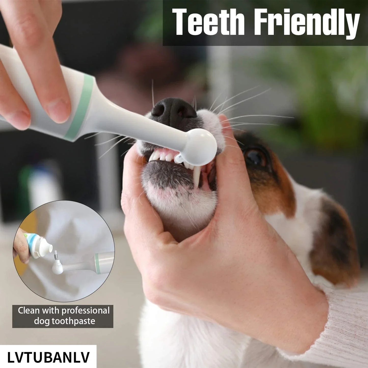 Electric Professional Teeth Polisher For Dogs