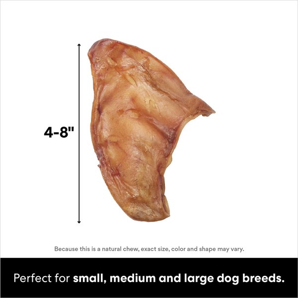Bones & Chews Made in USA Pig Ear Chews Dog Treats, 10 count