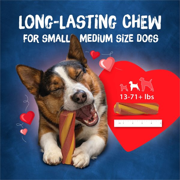 Busy Bone with Beggin' Twist'd! Long-Lasting Cheddar & Hickory Smoke Small/Medium Dog Treat