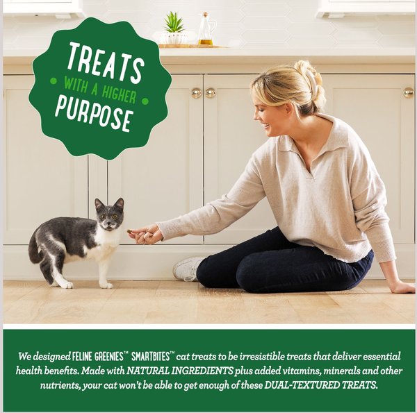 Greenies Feline SmartBites Healthy Skin & Fur Natural Salmon Flavor Soft & Crunchy Adult Cat Treats