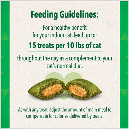 Greenies Feline SmartBites Healthy Skin & Fur Natural Salmon Flavor Soft & Crunchy Adult Cat Treats
