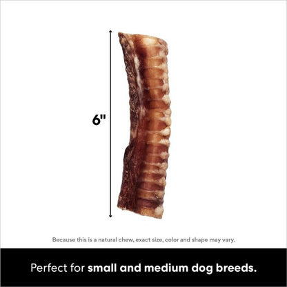 Bones & Chews Made in USA 6" Beef Trachea Dog Treats