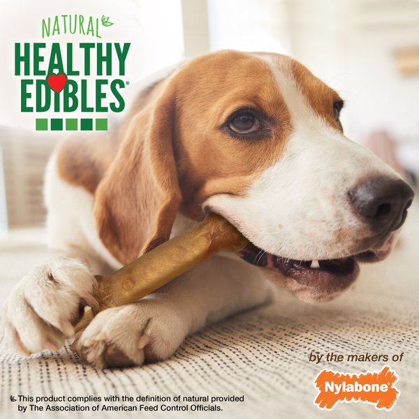 Nylabone Healthy Edibles All-Natural Long Lasting Bacon Dog Chew Treats