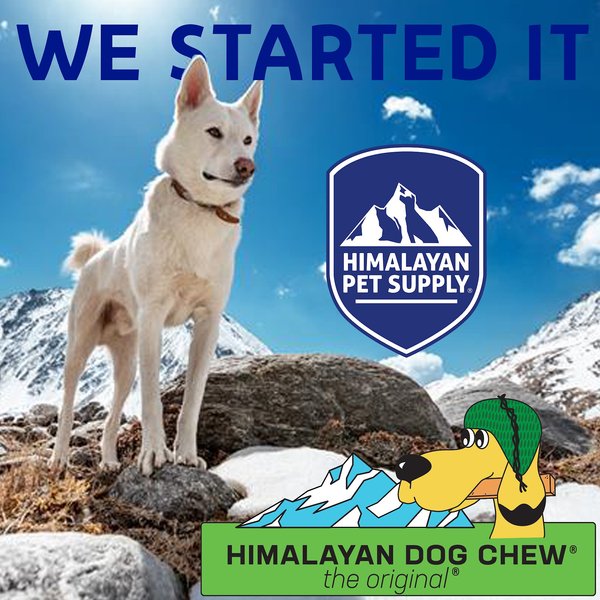 Himalayan Pet Supply Himalayan Dog Chew Original Yak Cheese Dog Chews