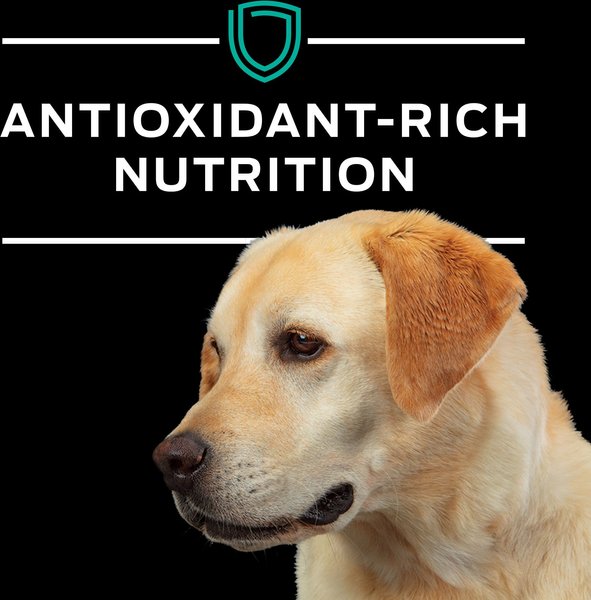 Purina Pro Plan Veterinary Diets EN Gastroenteric Dry Dog Food