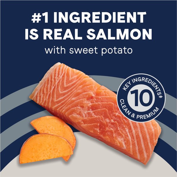 CANIDAE Grain-Free PURE Limited Ingredient Salmon & Sweet Potato Recipe Dry Dog Food