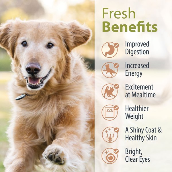 JustFoodForDogs Variety Pack Frozen Human-Grade Fresh Dog Food