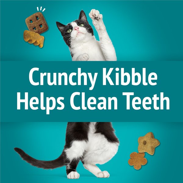 Friskies Party Mix Meow Luau Crunch Flavor Crunchy Cat Treats