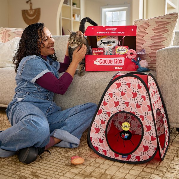 Goody Box Valentine's Cat Toys & Treats